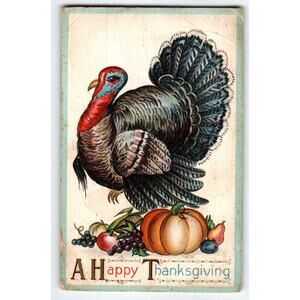 Happy Thanksgiving Postcard Turkey Embossed Fruits Barton & Spooner Ser S 620